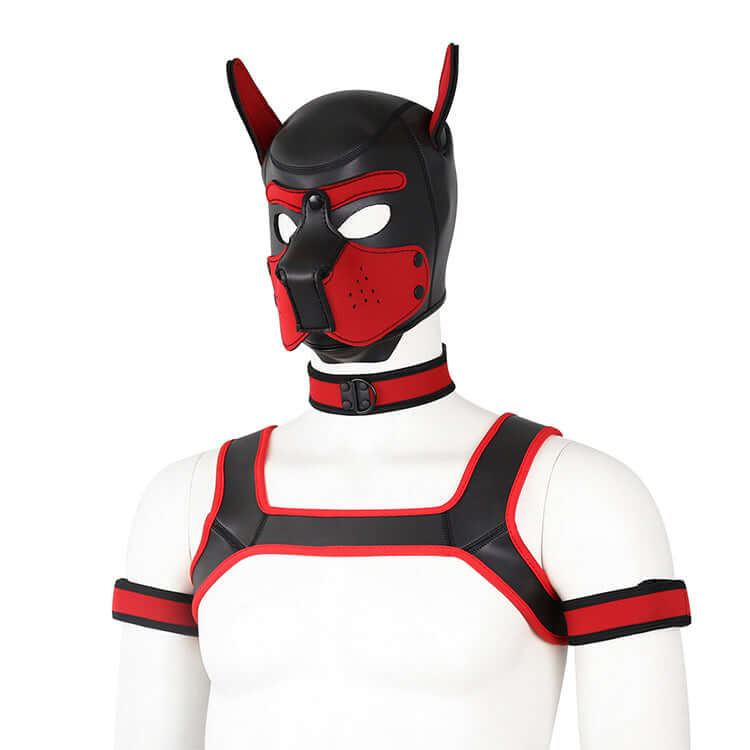 Pup Play Gear